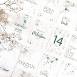 Lux Pregnancy Milestone Cards - Belle and Grace Boutique